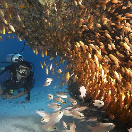 Zawadi Hotel, Zanzibar Michamvi Kae ภายนอก รูปภาพ