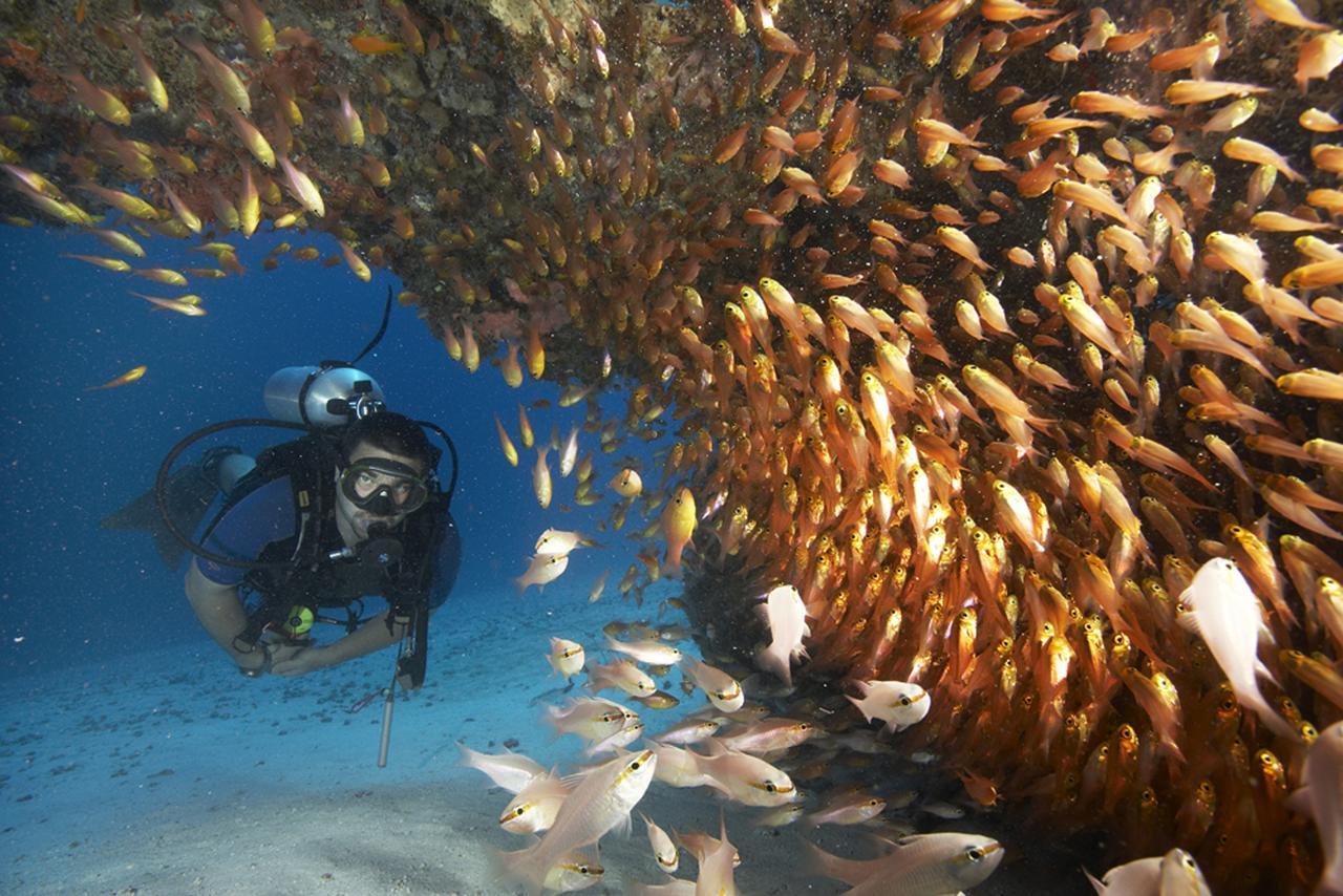 Zawadi Hotel, Zanzibar Michamvi Kae ภายนอก รูปภาพ